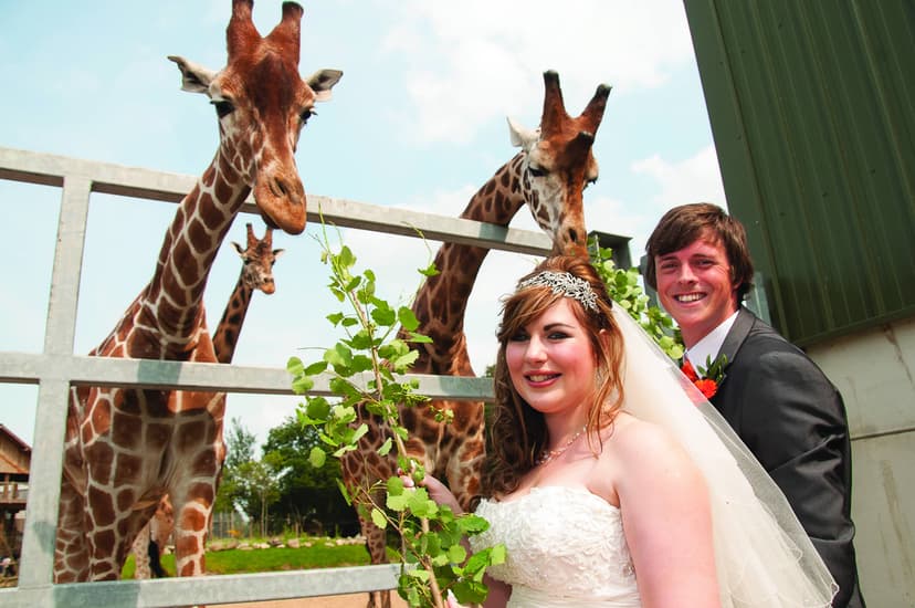 Featured image for Abbie and David's Incredible Wedding at Yorkshire Wildlife Park - Features