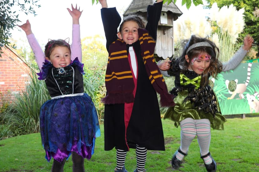 Featured image for What Is The Witches and Wizards Trail at Tropical Butterfly House Sheffield This Halloween 2025 - Features