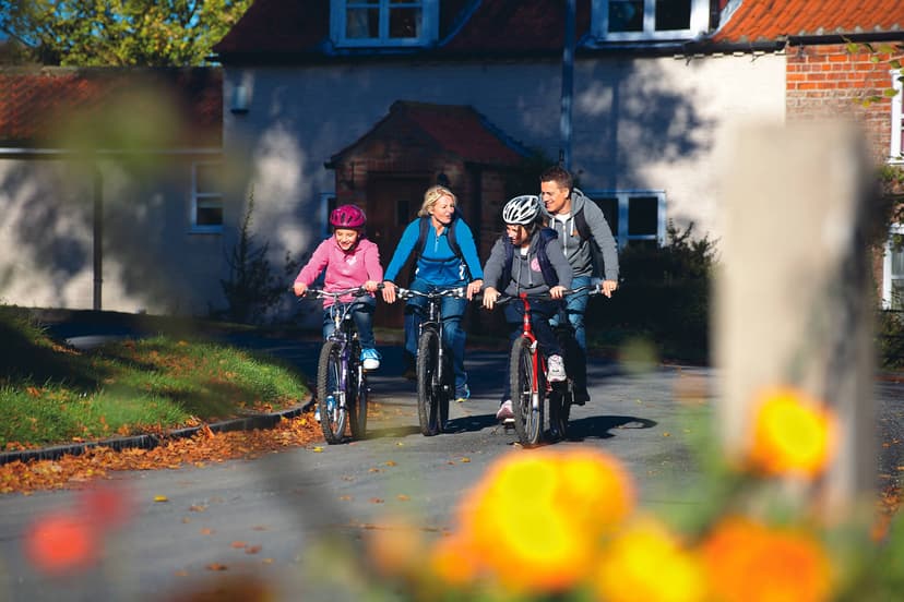 Featured image for Cycling Holidays and Bike Hire - Sport