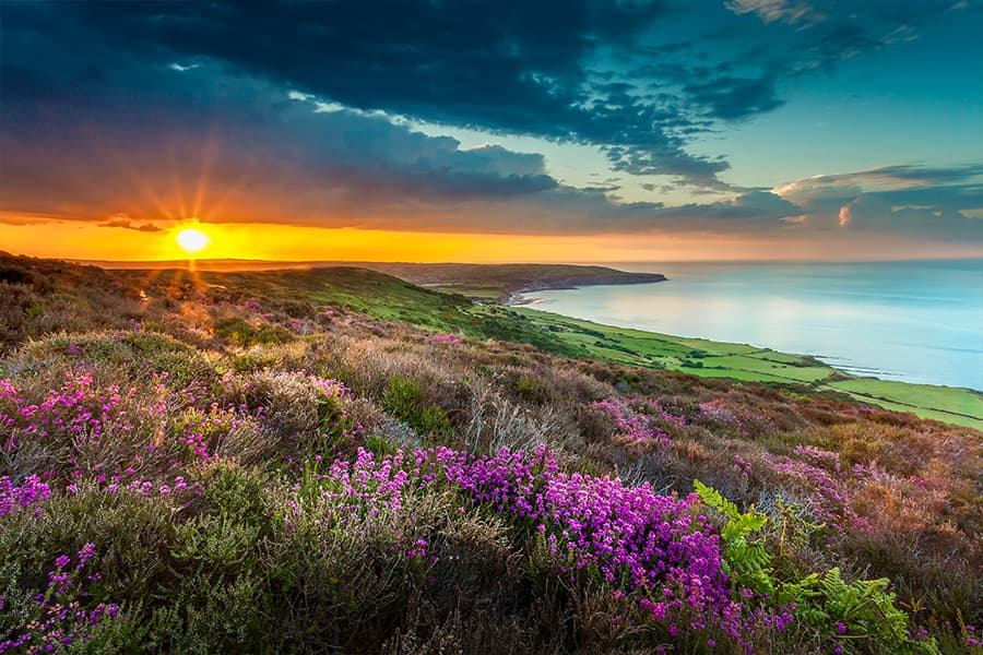 10 New Year Walks