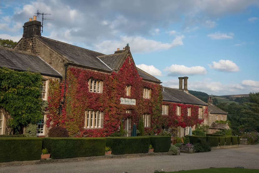 Featured image for Eating in Yorkshire's Countryside - Food & Drink