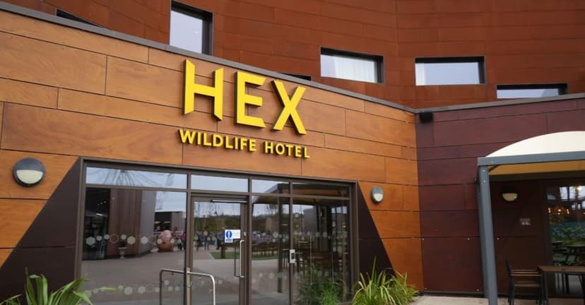 Featured image for Hex Wildlife Hotel: Yorkshire's TripAdvisor Award Winner - Community