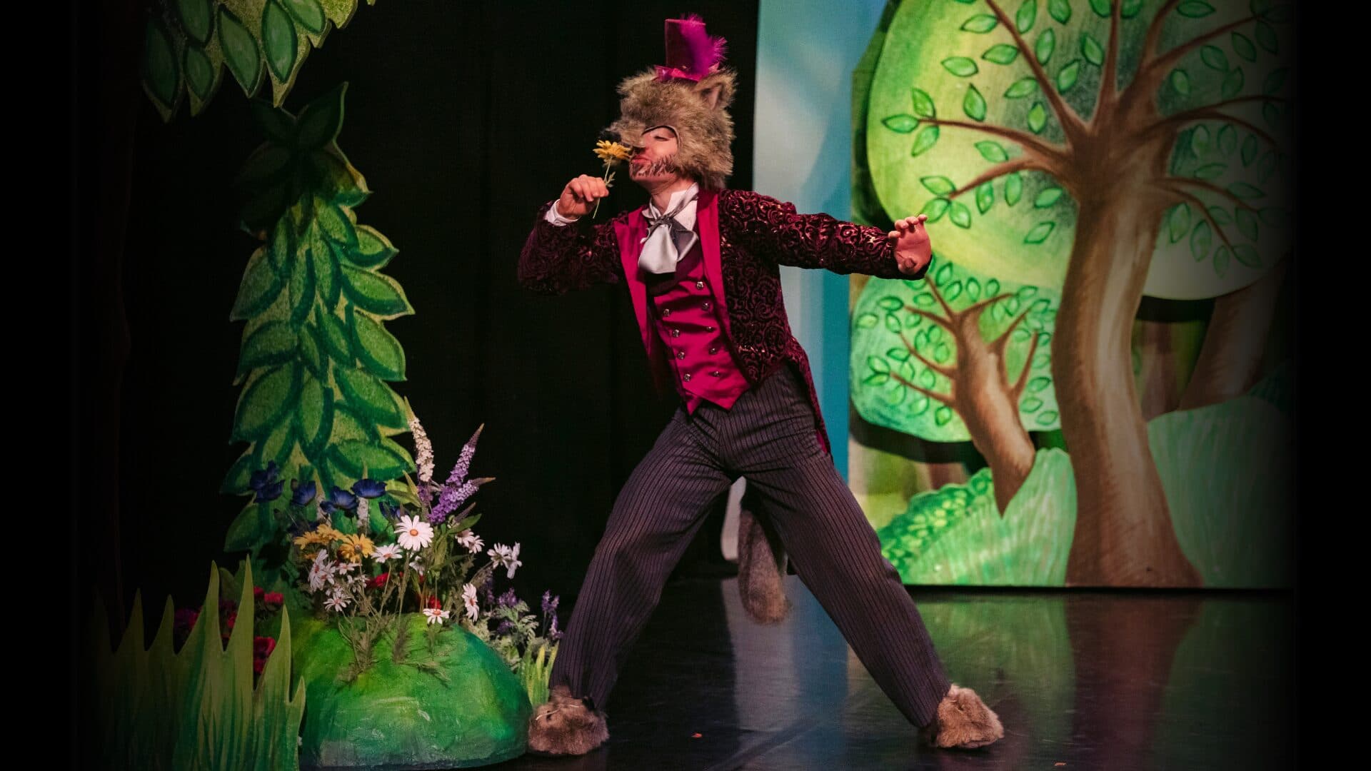 Little Red Riding Hood Northern Ballet