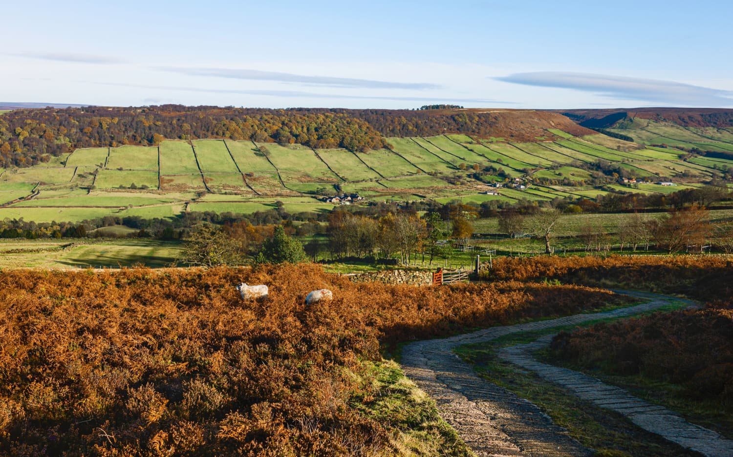 Unveiling the Secrets of Fridaythorpe: The Highest Village in the Yorkshire Wolds