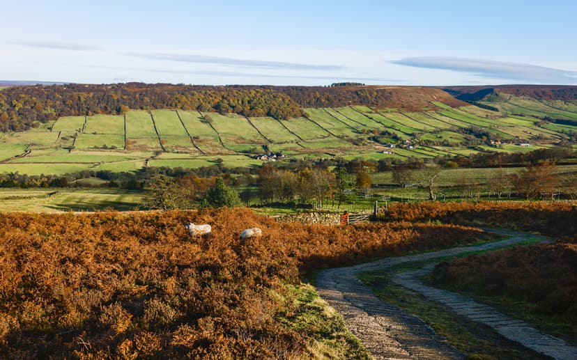 Featured image for Unveiling the Secrets of Fridaythorpe: The Highest Village in the Yorkshire Wolds - Arts & Culture