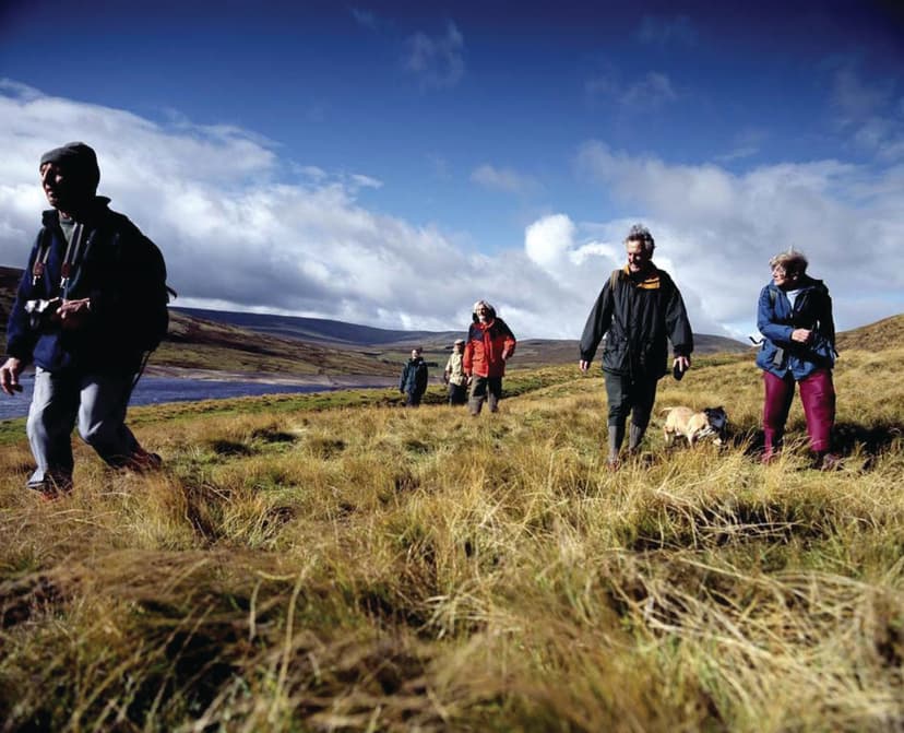 Featured image for 4 Nature Walks for the Seasons - Outdoors