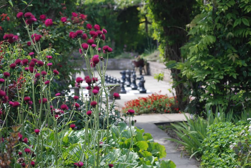 Featured image for Discover the Gardens of East Yorkshire - Outdoors
