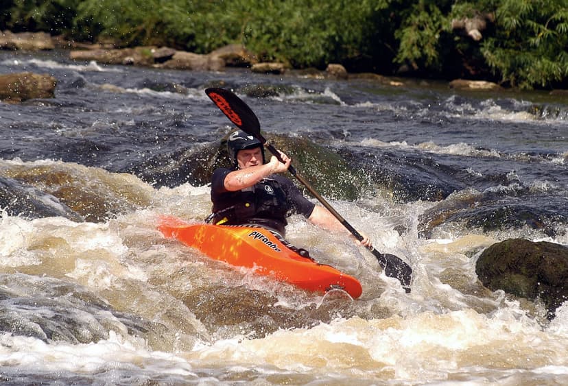 Featured image for Paddles up - On Water