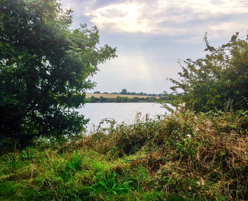 Featured image for Walk: Thrybergh Country Park - walking