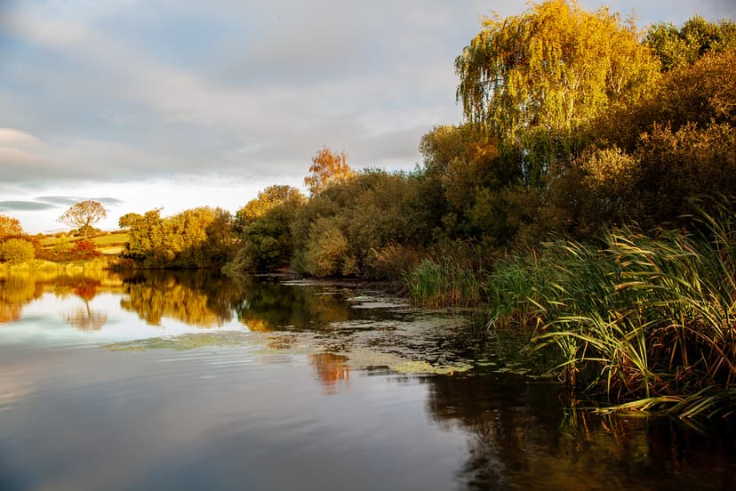Featured image for Walk: Harthill Reservoir - walking