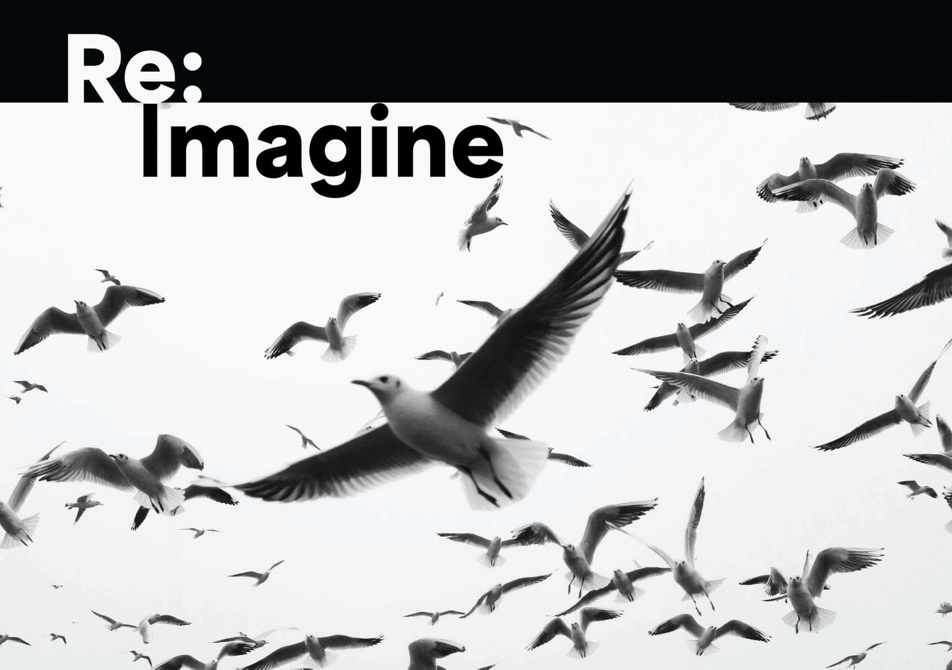 Flock of seagulls flying against a cloudy sky