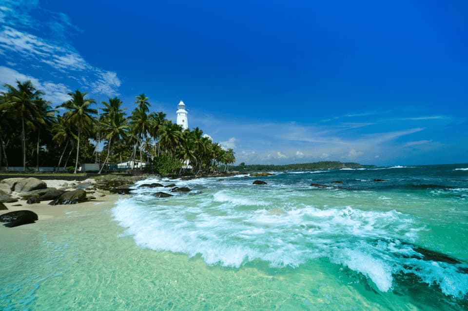 Lighthouse by palm-lined beach with clear blue sky