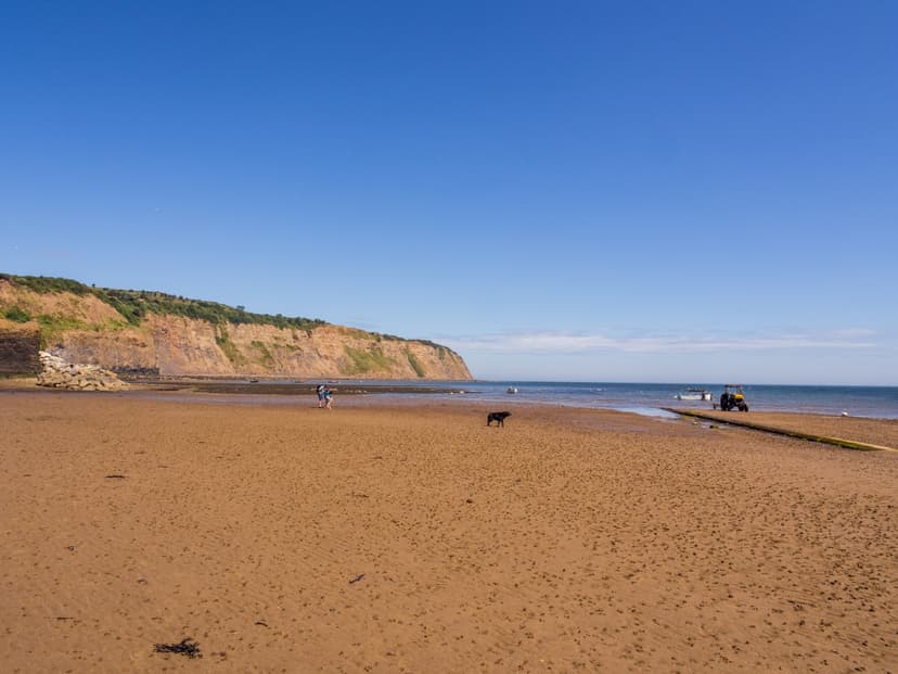 Featured image for Keeping cool at the coast with your dog - Visiting