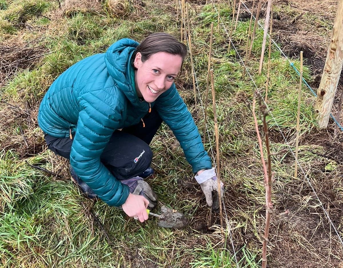 Smiling person planting sapling in a grassy field