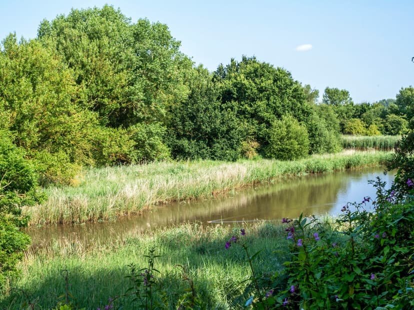 Featured image for Barlow Common Wildlife Trail - Outdoors