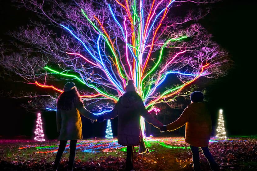 Neon tree Richard Haughton