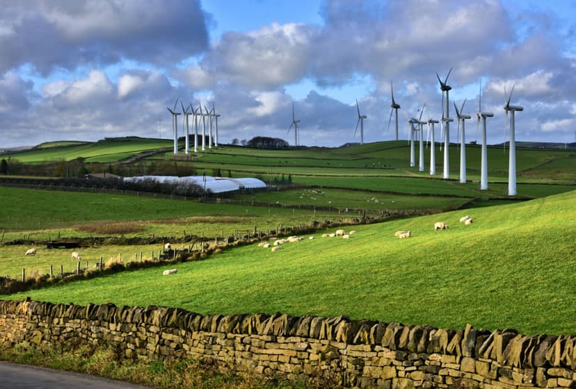 Featured image for Walk: Scout Dike, Royd Moor and Ingbirchworth Reservoirs - walking