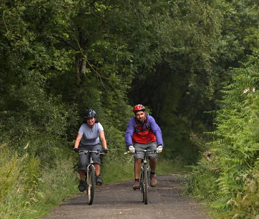 Featured image for Top 10 On Wheels Experiences - On Wheels