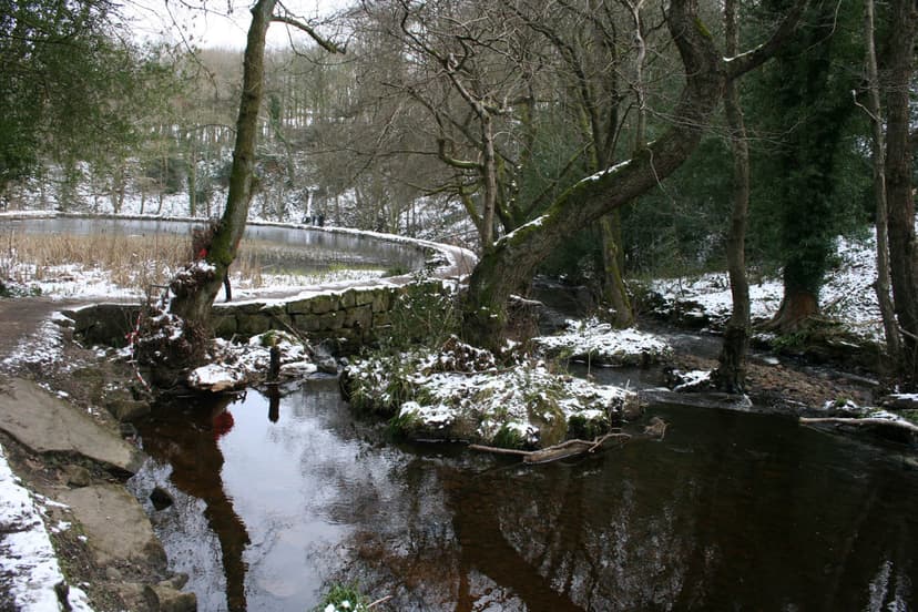 Featured image for Rambling the Rivelin - Outdoors