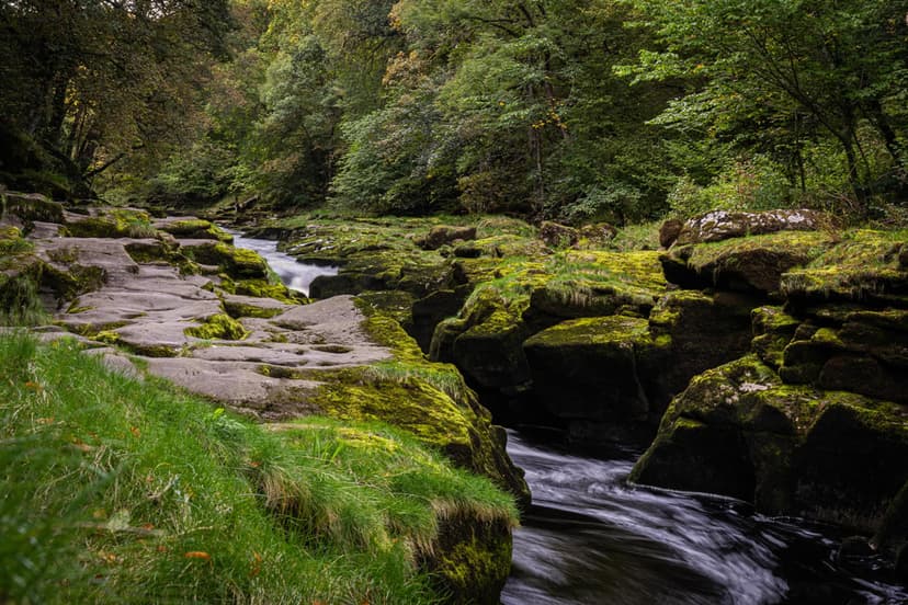 Featured image for Walk: Bolton Abbey - walking