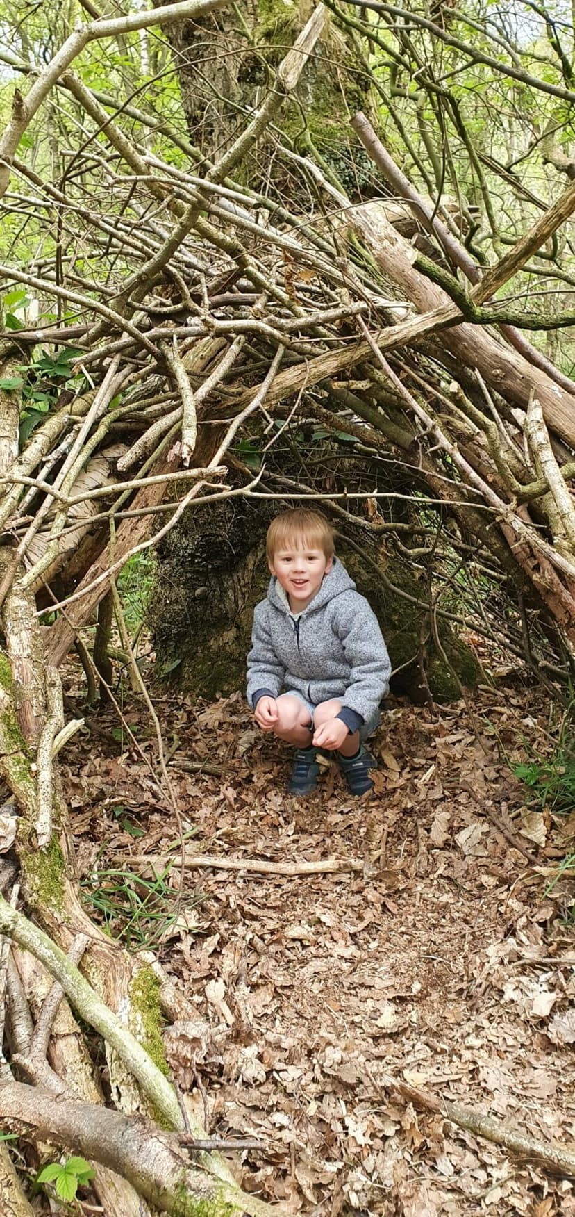 Featured image for Family Woodland Walk at Coxley Woods - Outdoors