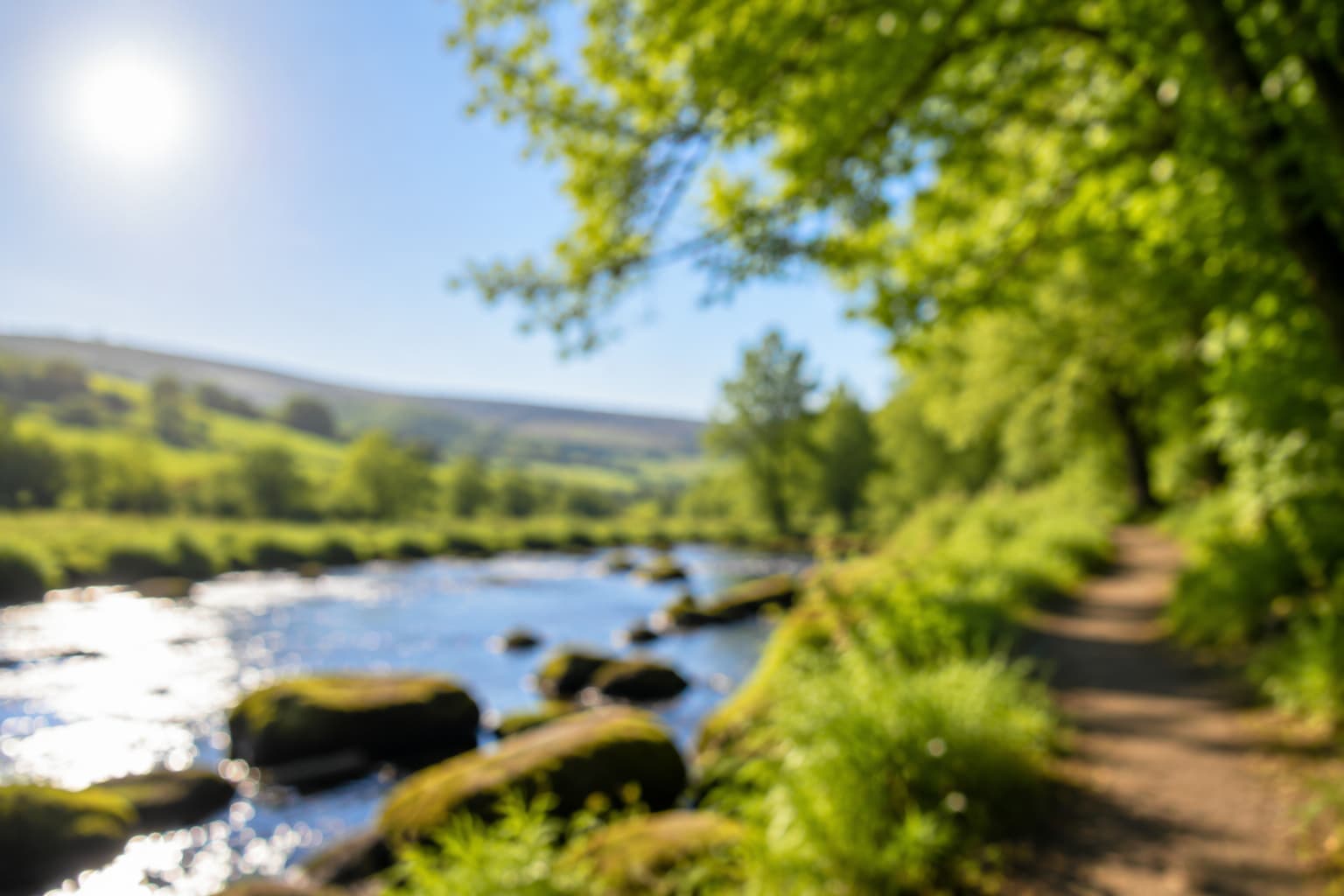 Sunlit river with mossy rocks and lush green trees in Yorkshire