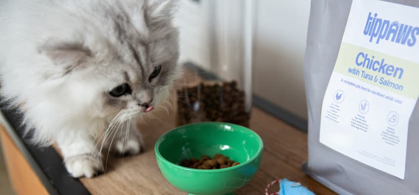 Featured image for Purrfect Essentials Kit Giveaway: sponsored by Tippaws - Features