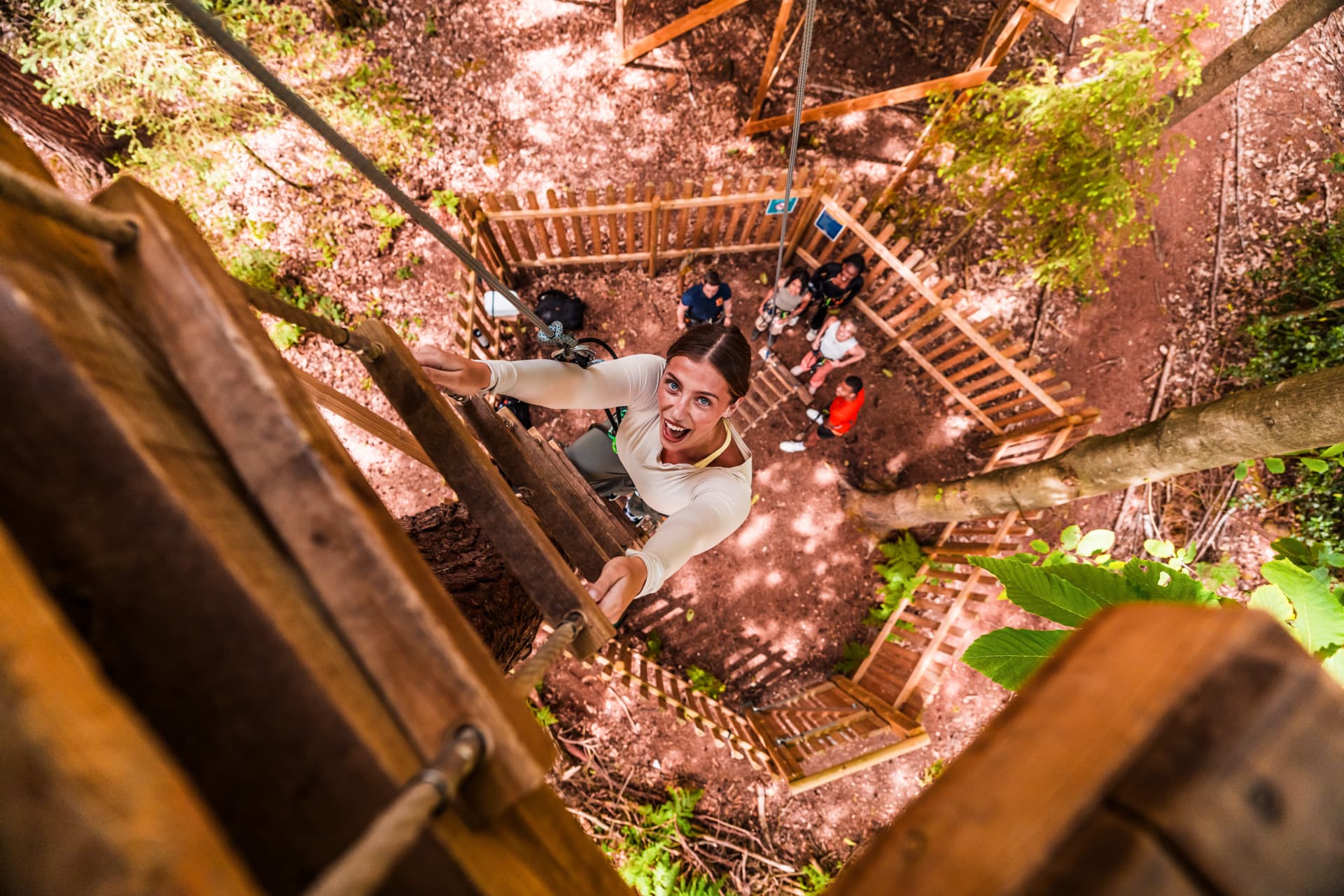 Person climbing wooden ladder in treetop adventure park