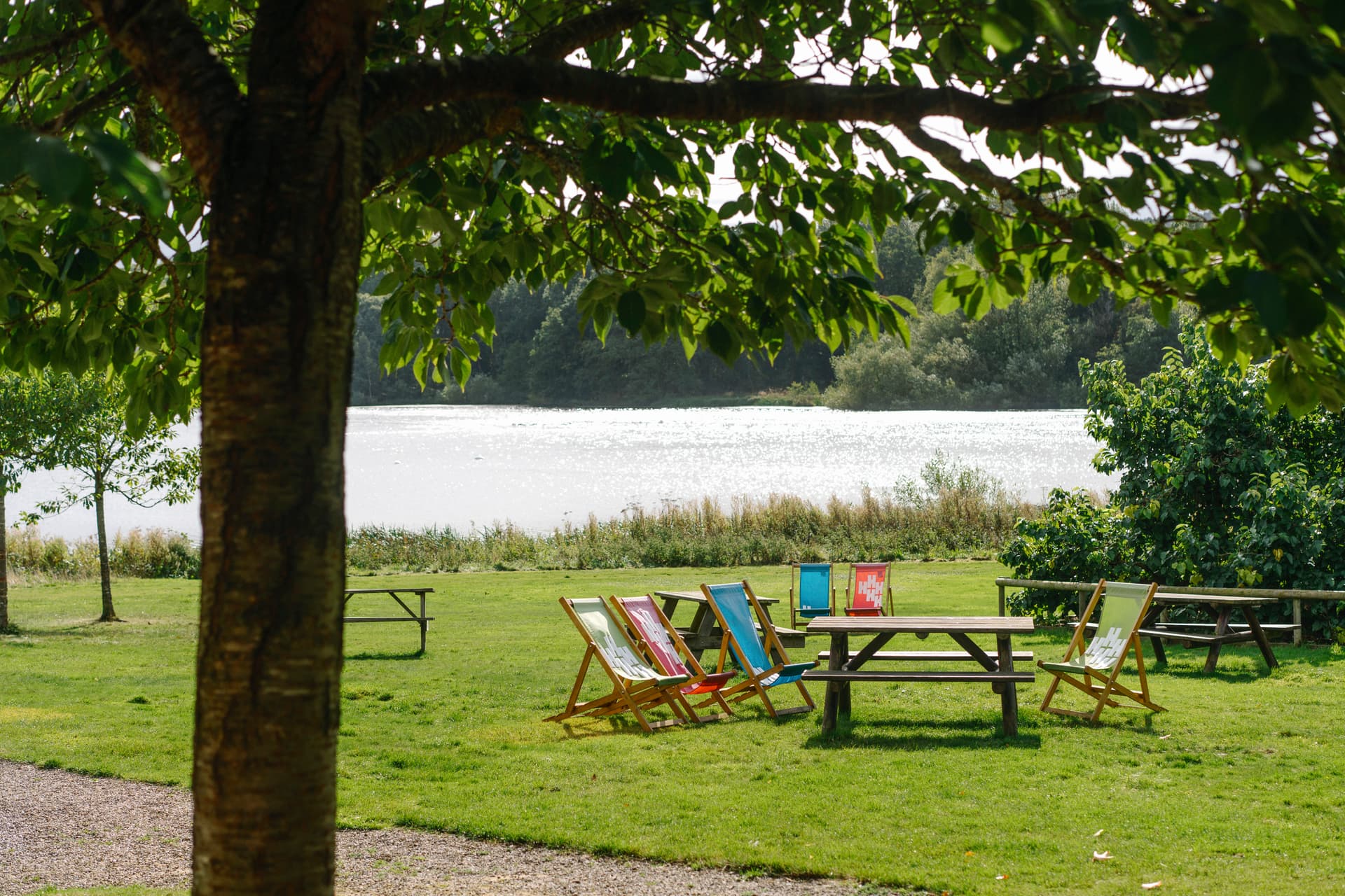 Colorful deck chairs under tree by serene Yorkshire lake