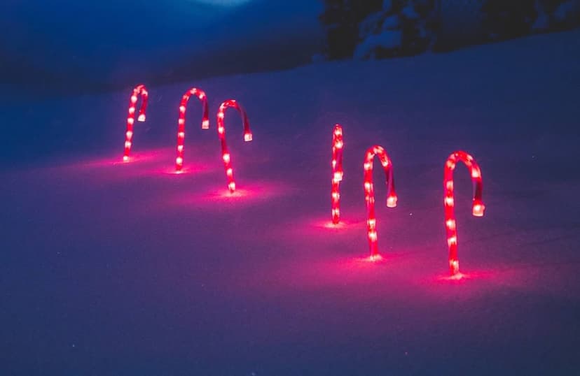 Featured image for Outdoor Adventure - Seasonal
