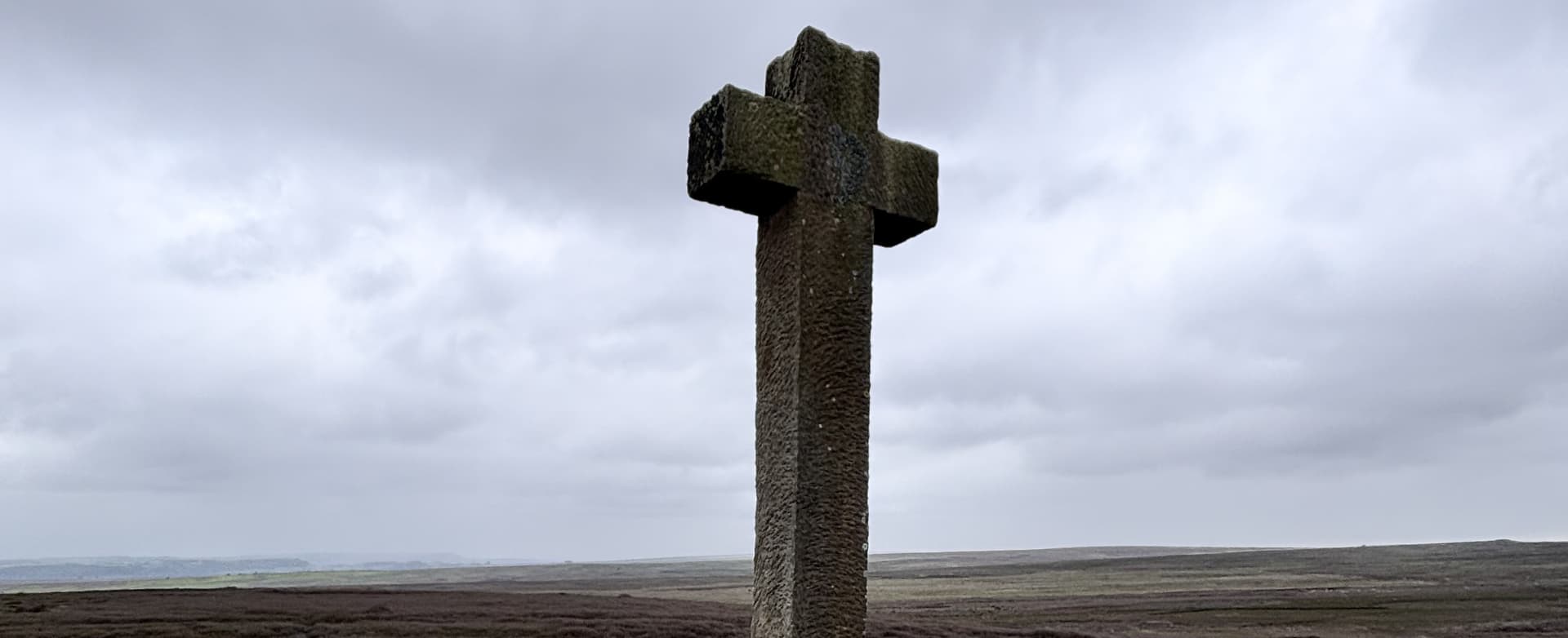 Featured image for article