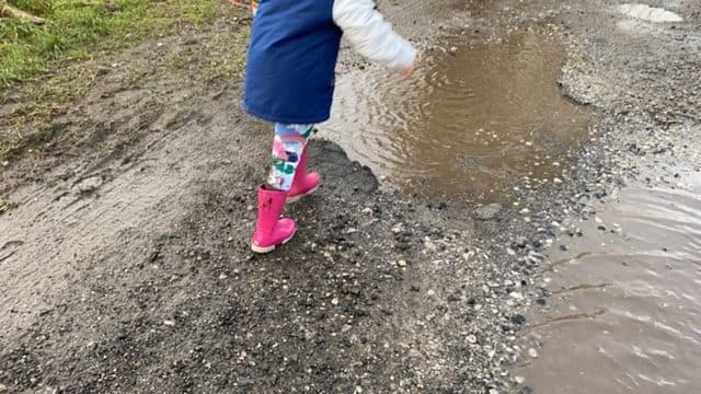 Featured image for Five Things That Always Happen on a Walk With Children - Outdoors