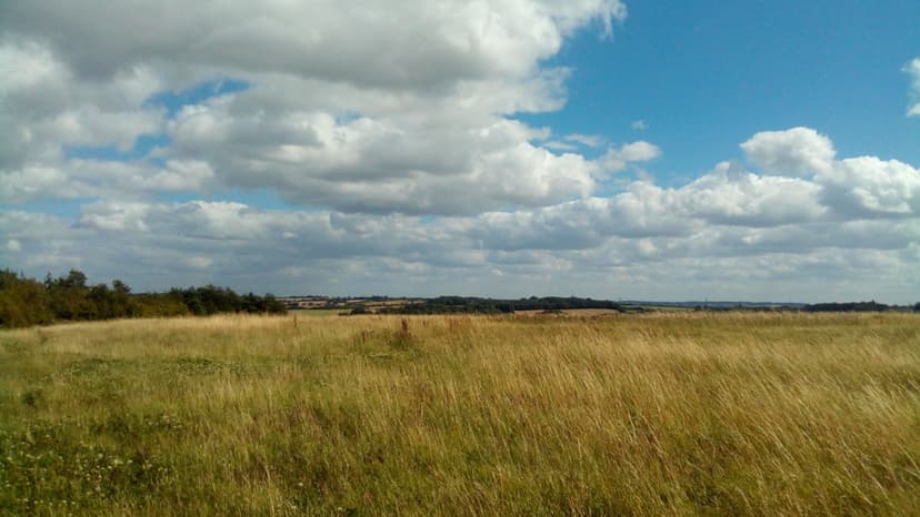 Featured image for Walk: Fitzwilliam Country Park Walk - walking