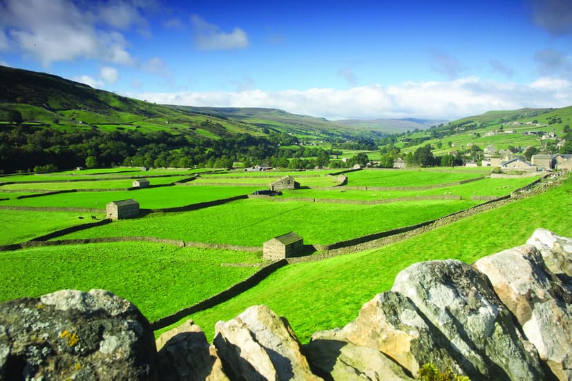 Featured image for Walk the James Herriot Way - Walkshire