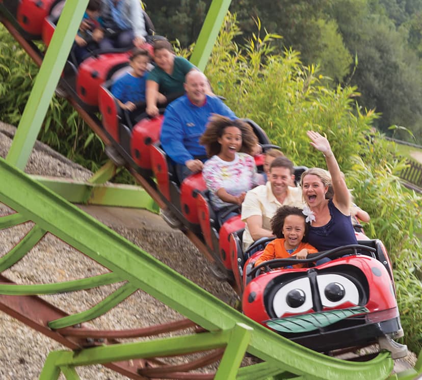 Featured image for Lightwater Valley: Your Ultimate Guide to North Yorkshire’s Thrill-Seeker’s Haven - Features