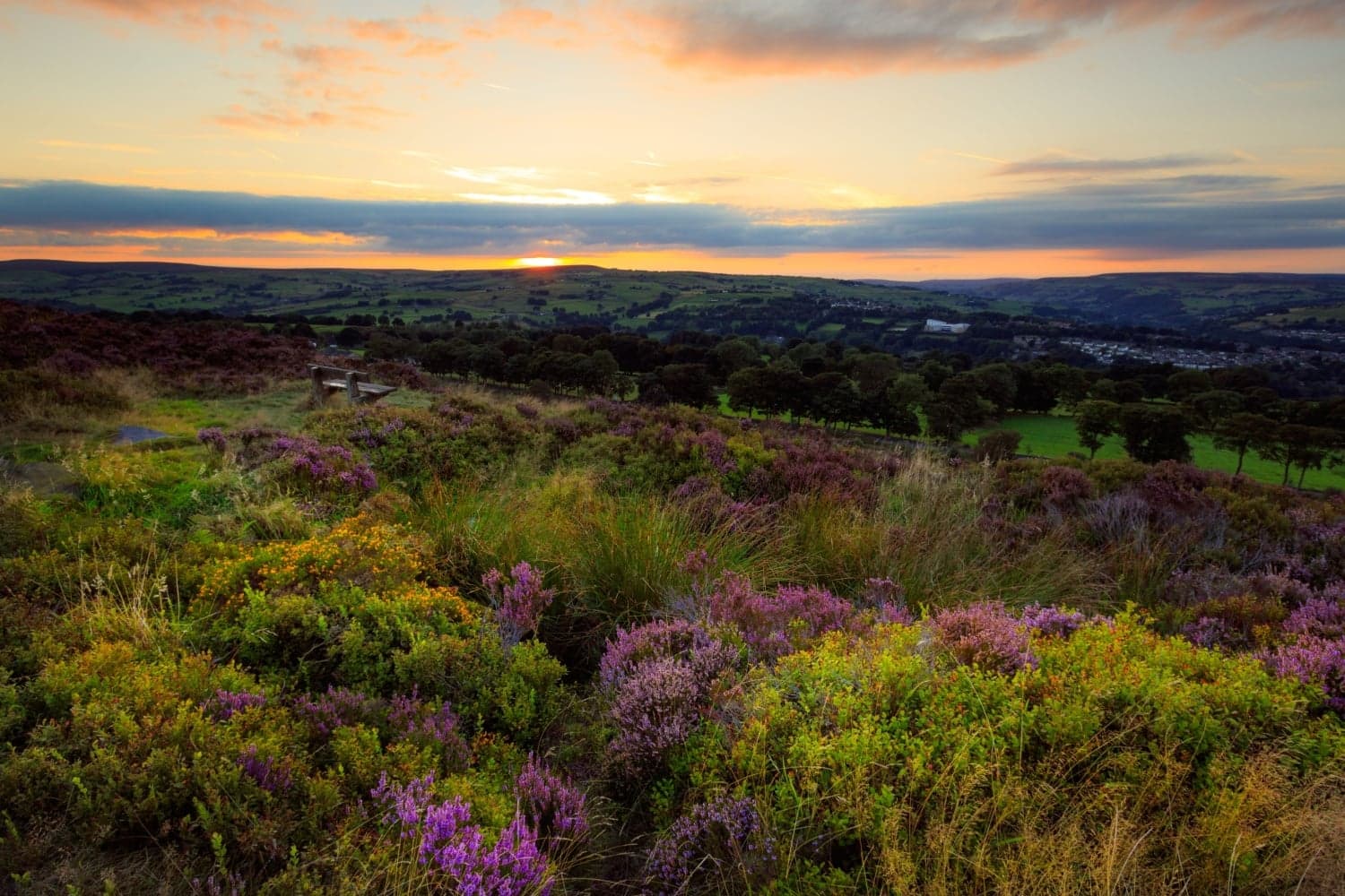 Newsletter: Friday 20th September 2024