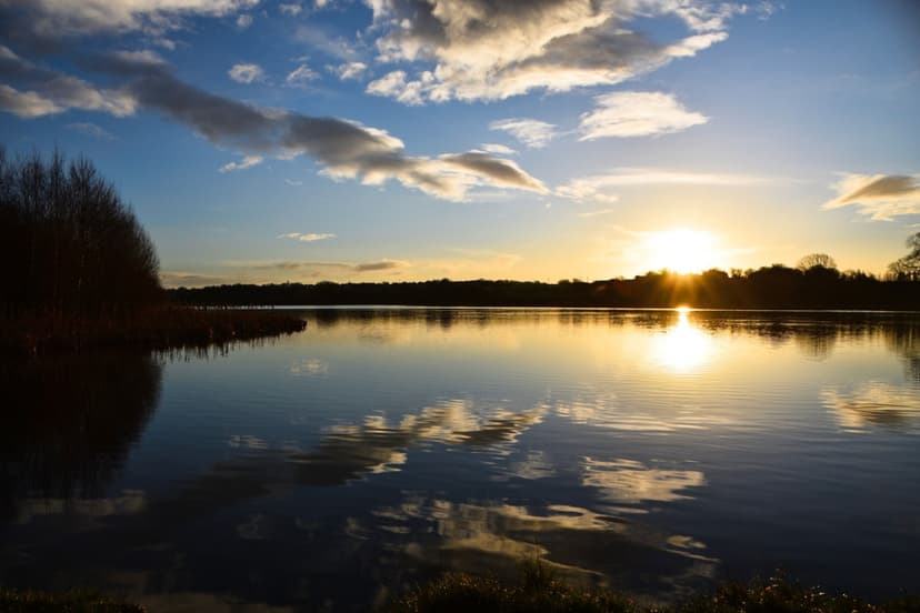 Featured image for Barnsley Canal Walk - walking