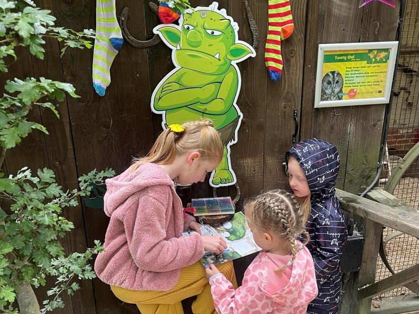 Featured image for What’s Happening At The Enchanted Fairy Forest 2025? - Community