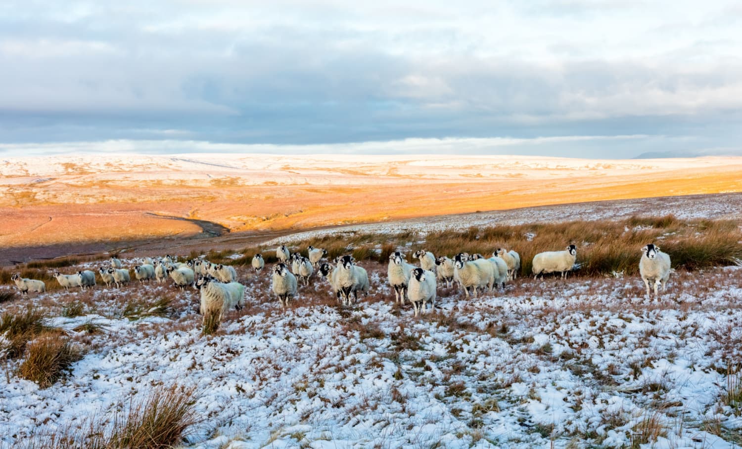 Newsletter - Friday 1st December 2023