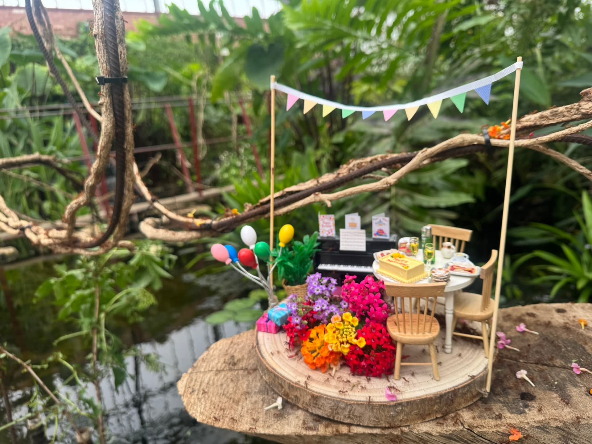 Tropical Butterfly House Celebrates Sir David Attenborough's 100th Birthday with Unique Events