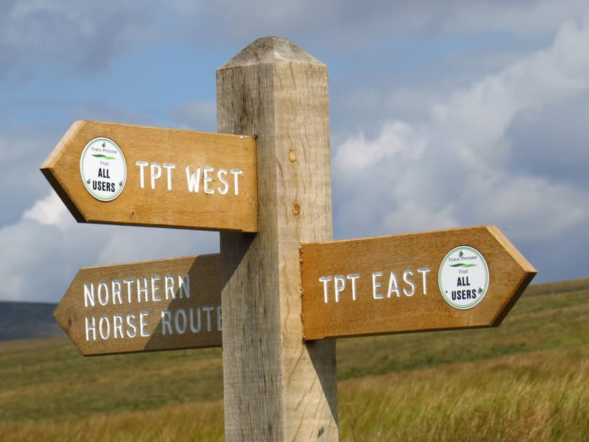 Featured image for Walk: Trans Pennine Trail - walking