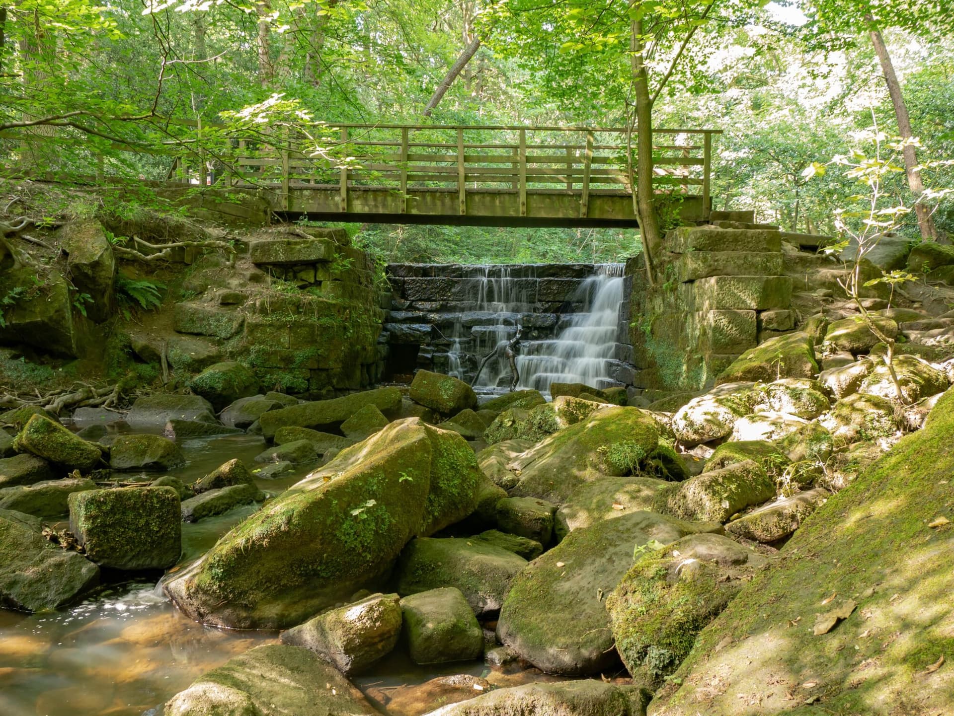 Walk: Meanwood