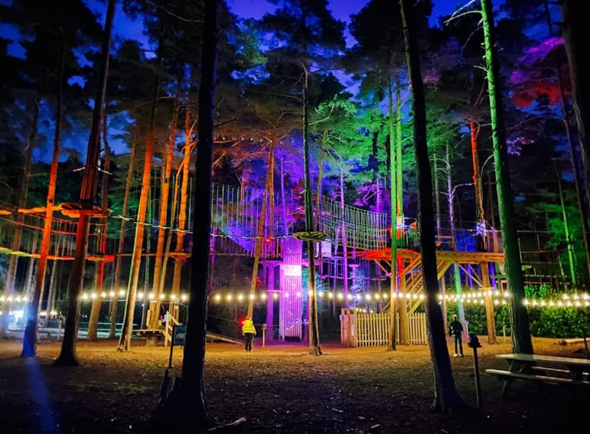 Featured image for What Are the Best Go Ape Autumn Adventures and Deals for a Family Day Out? - Features