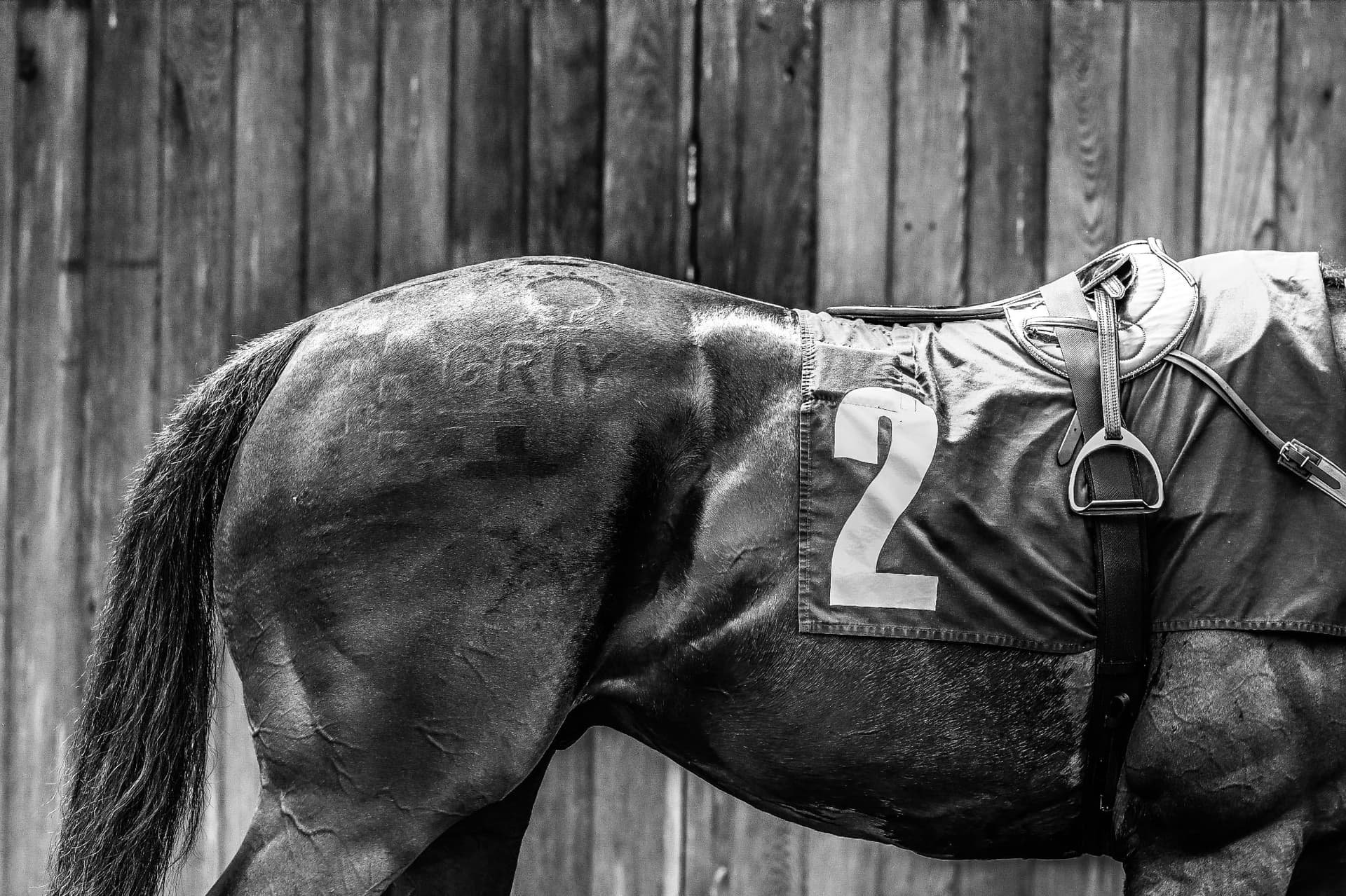 Go Racing In Yorkshire Prepares for 50th Anniversary Celebrations in 2026