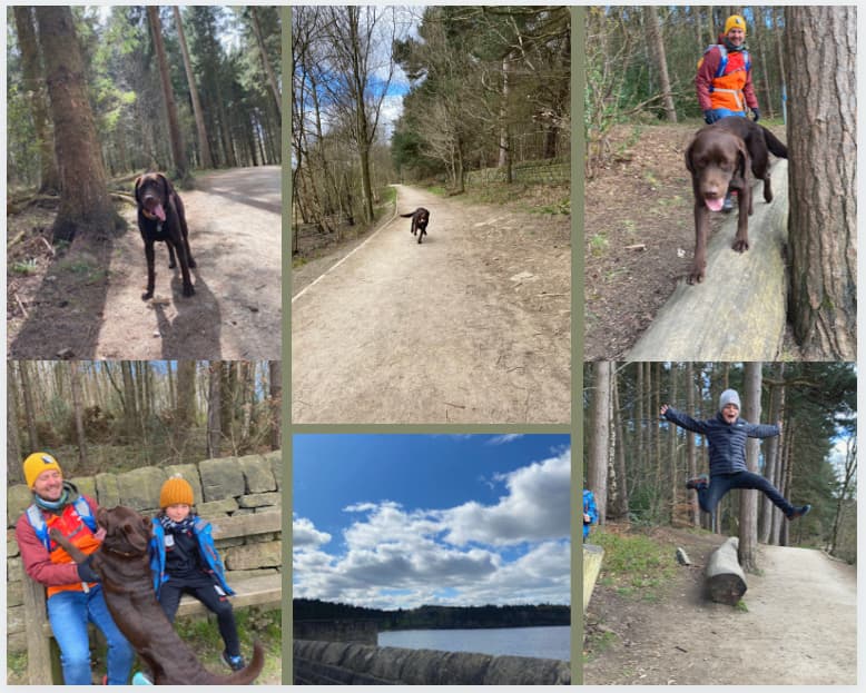 Featured image for The big swim - Swinsty and Fewston Reservoirs walk - Outdoors