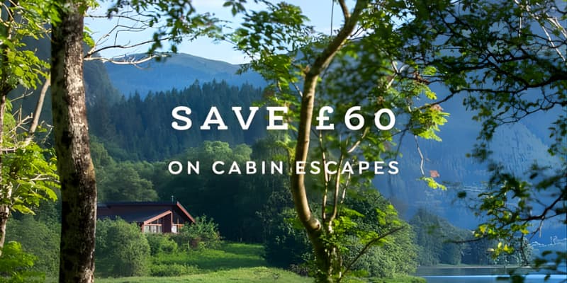 Lush green landscape with a cozy cabin nestled among trees, set against a backdrop of rolling hills and serene water.