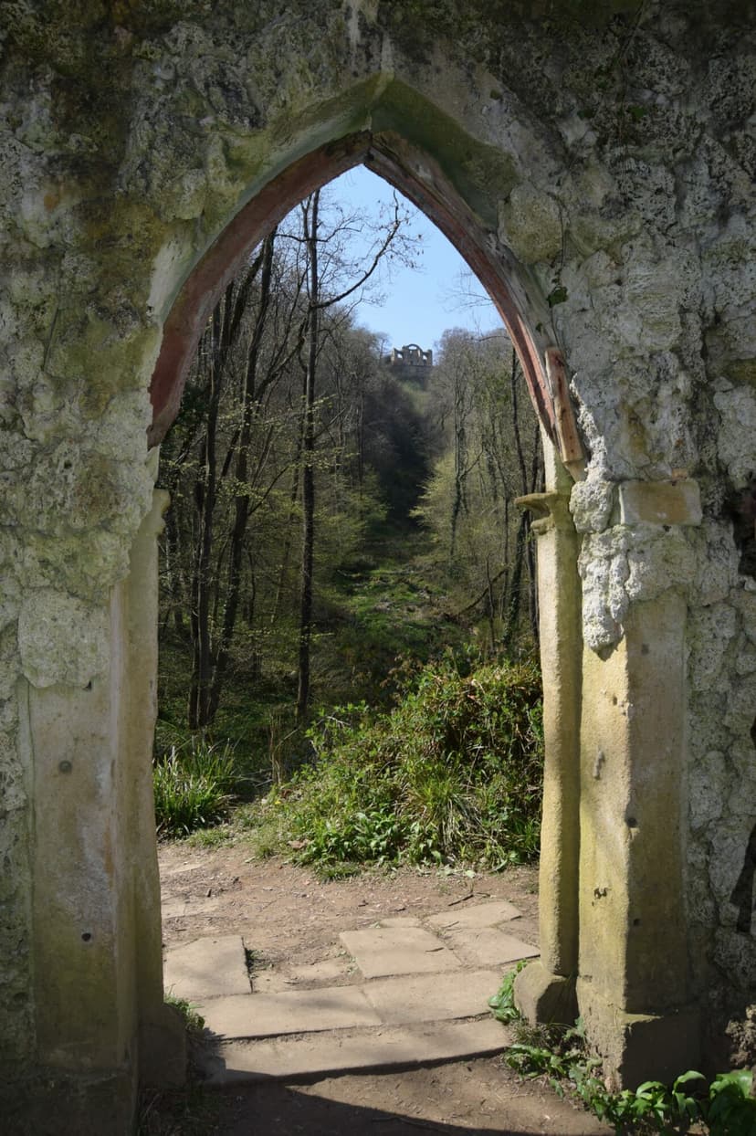 Featured image for Family Walk at Hackfall Wood, Masham - Outdoors