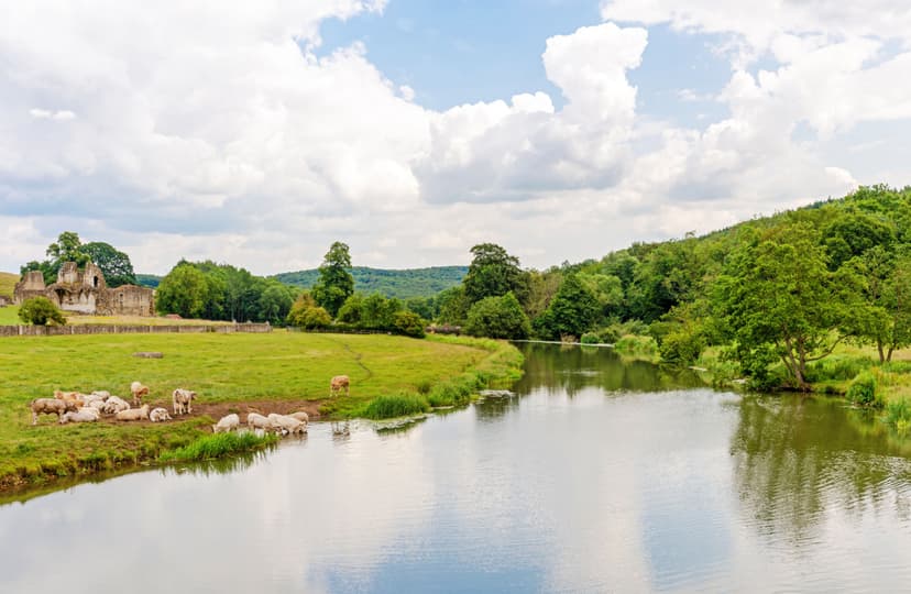 Featured image for Walk: Malton and Saint Mary's Priory - walking
