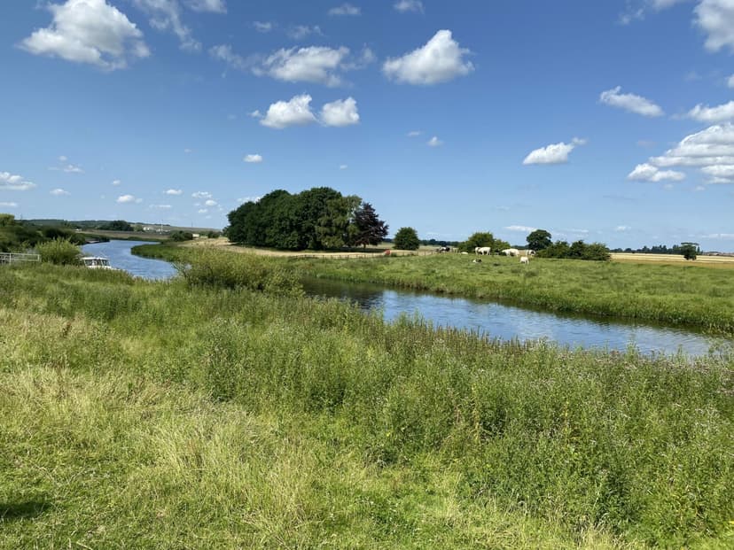 Featured image for Riverside beauty at Barmby on the Marsh - Outdoors