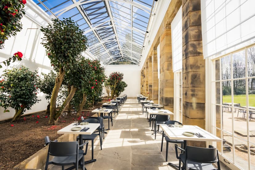 Featured image for A Blooming Triumph: Wentworth Woodhouse’s Camellia House Wins Prestigious European Heritage Award - Community